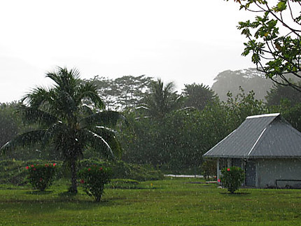 Pluie tahitienne