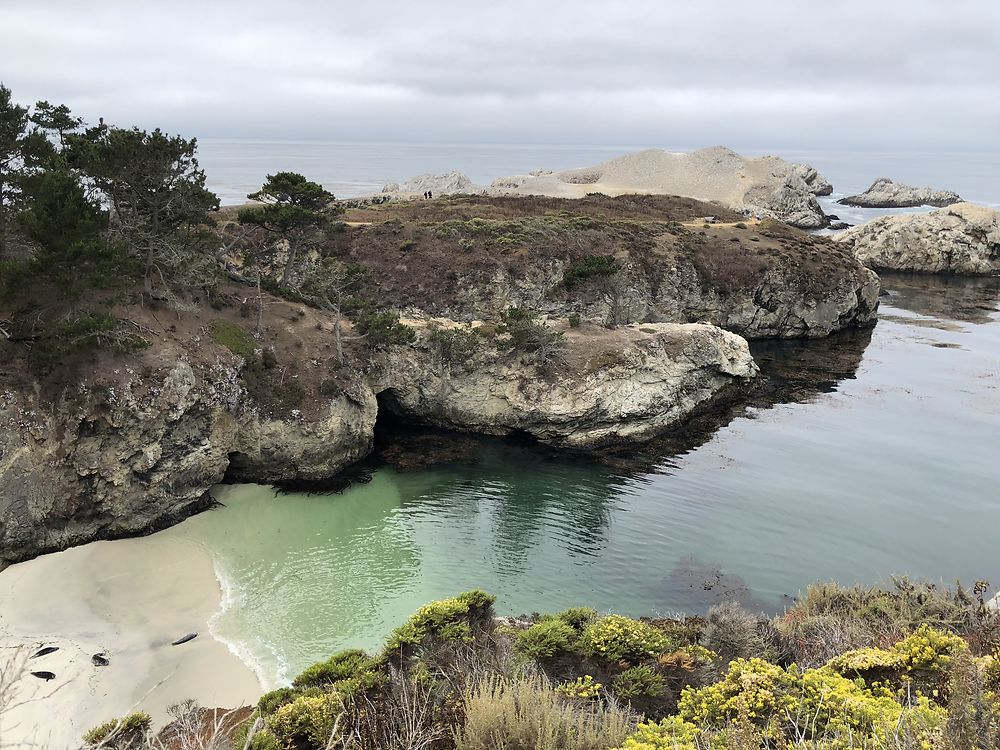 Point Lobos 