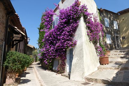 Vieux village de Grimaud 