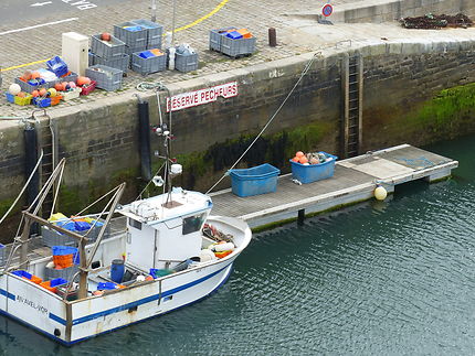 Déchargement au port du Palais