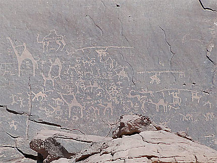 Gravures rupestres au Wadi Rum