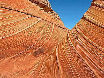 Coyote buttes North: The wave