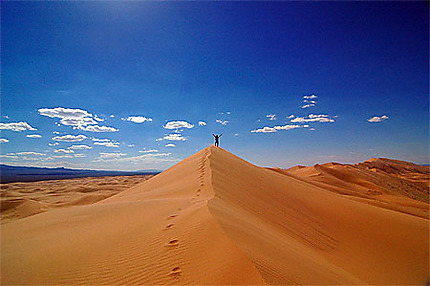 Les dunes mongoles