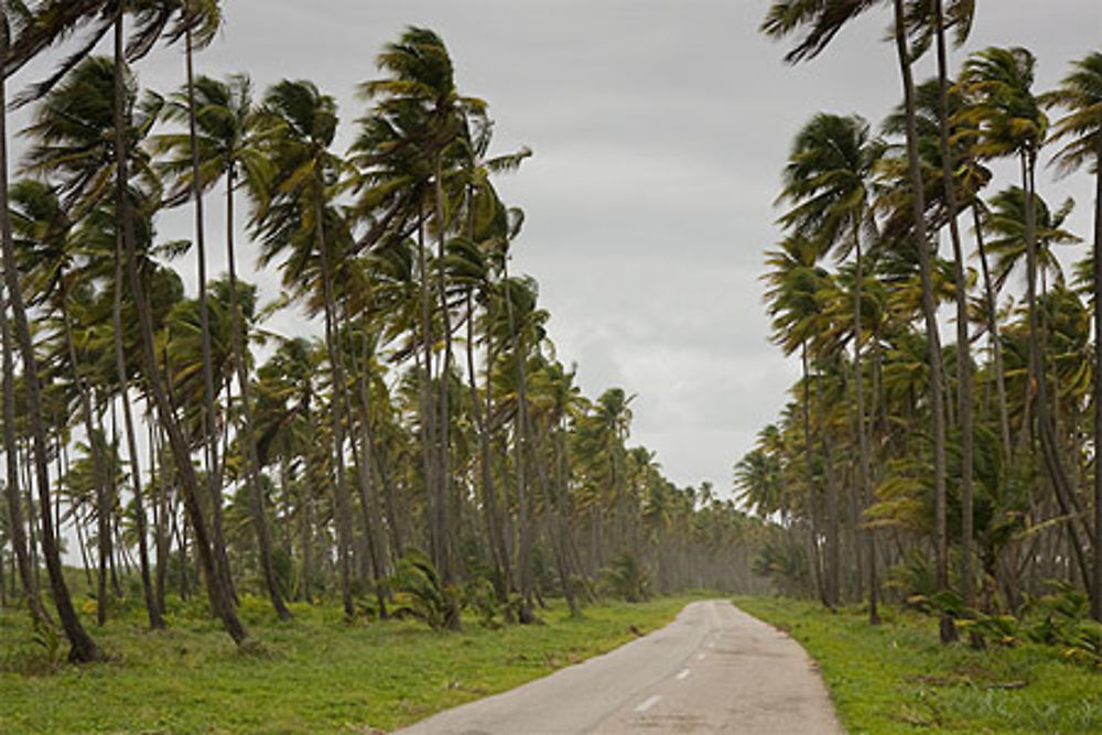 Mayaro roads