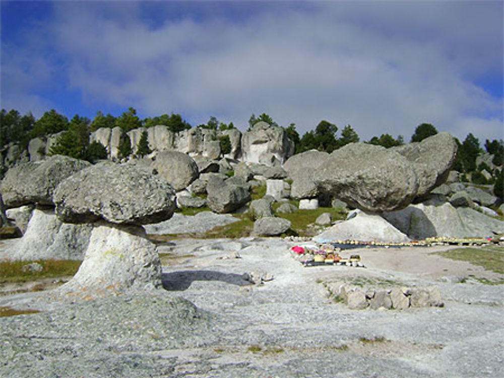 Valle de los Hongos