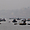 Armada sur le Gange