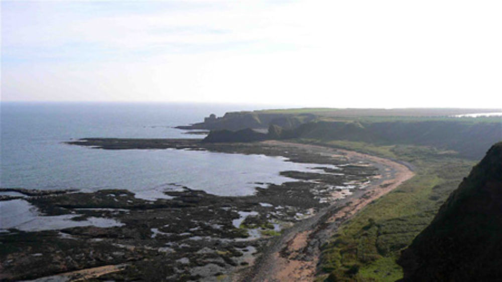 Falaises de Seaton