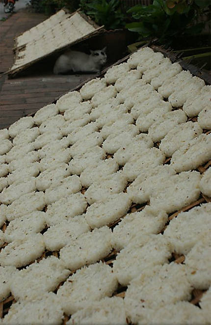 Séchage des galettes de riz