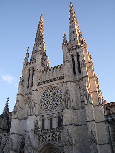 Basilique Basilique