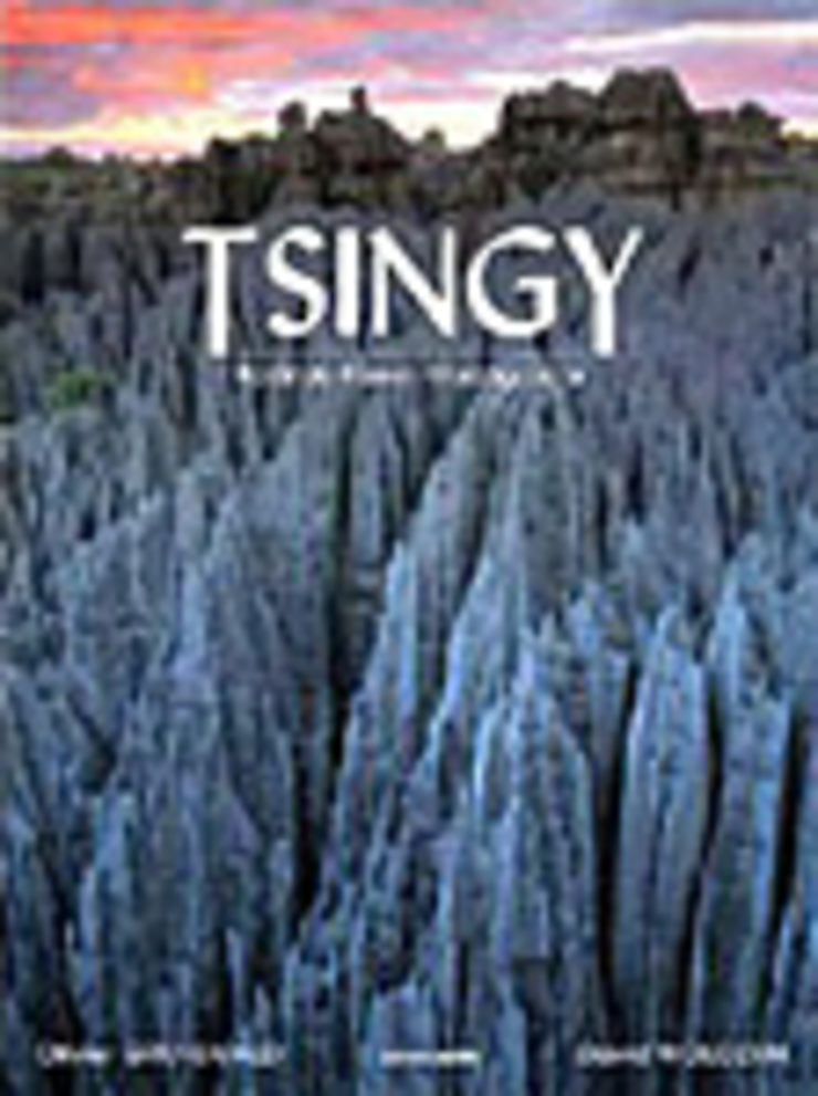 Tsingy, forêt de pierre - Madagascar