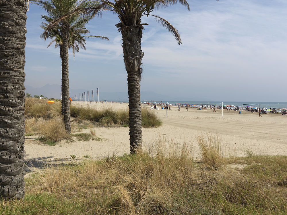 Plage Al pinar castellon