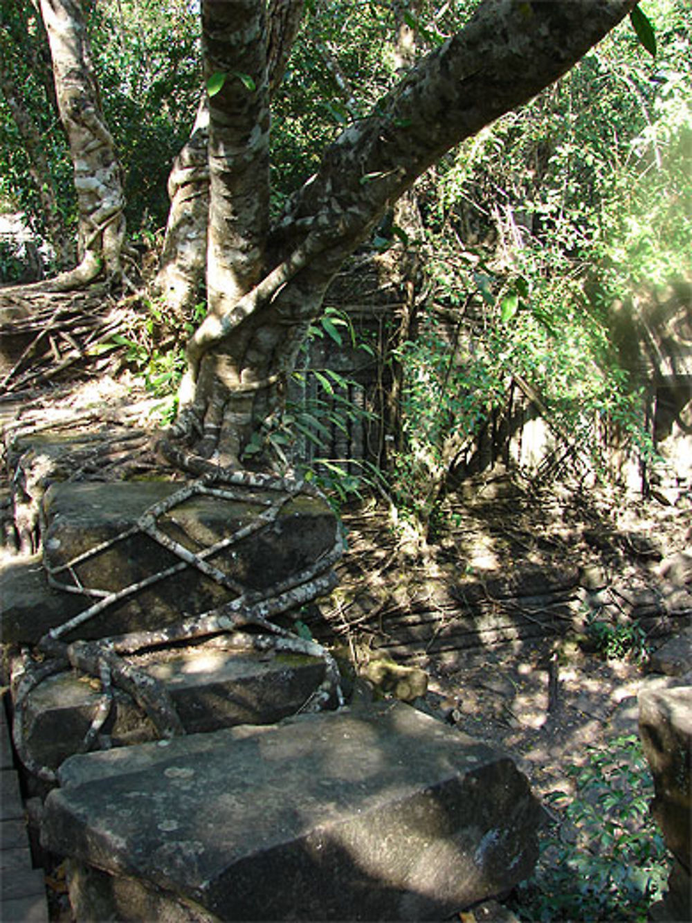 Beng Mealea