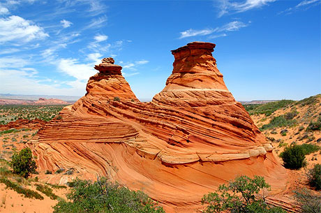 Coyote buttes South: Cottonwood Coyote buttes South: Cottonwood