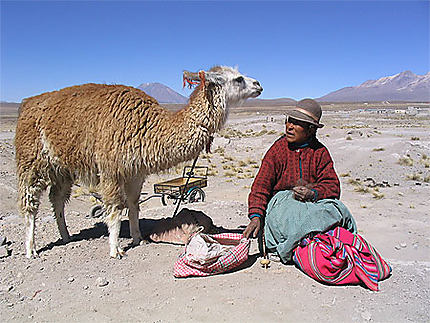 Péruvienne, lama et ... métier à tisser