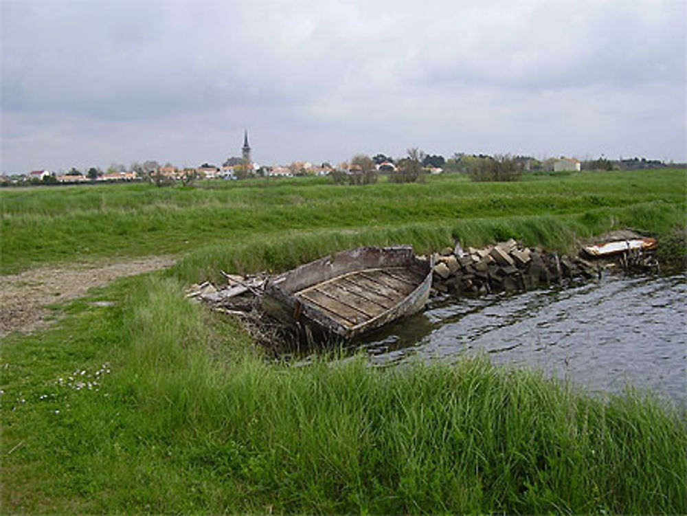 Marais de l'île d'Olonne