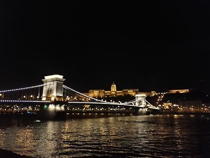 Danube bridge by night