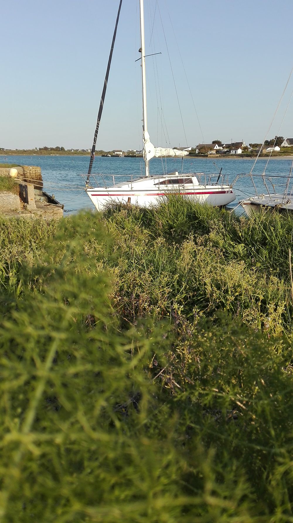 Un été dans le Morbihan à bord d'Eole