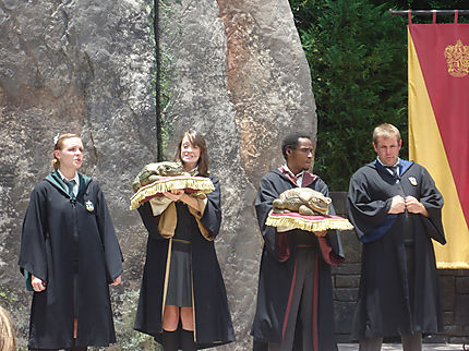 Le monde d' Harry Potter