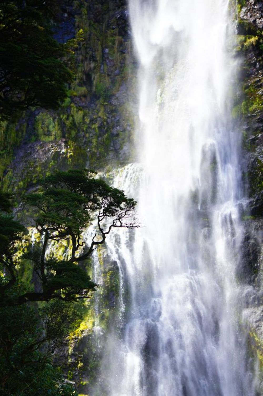 Arthur Pass national park