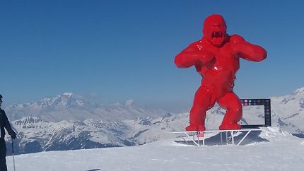Singe rouge pour Mont Blanc