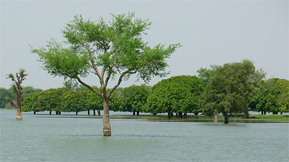 Ressource près de l'eau