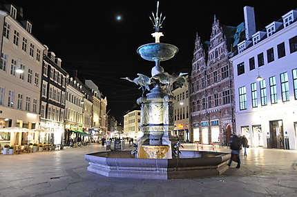 Nuit de Copenhagen