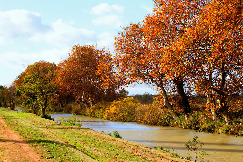 Canal du midi