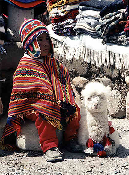 Petit péruvien et son lama