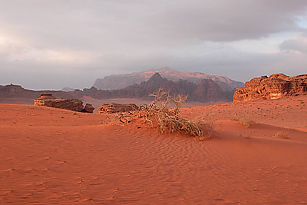 Le désert couleur pastel