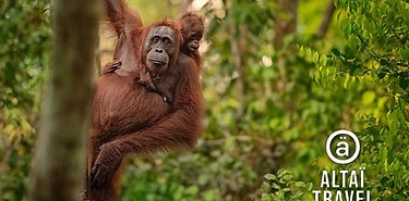 Sumatra : séjour sur-mesure