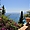 Vue mer Villa Comunale Di Taormina