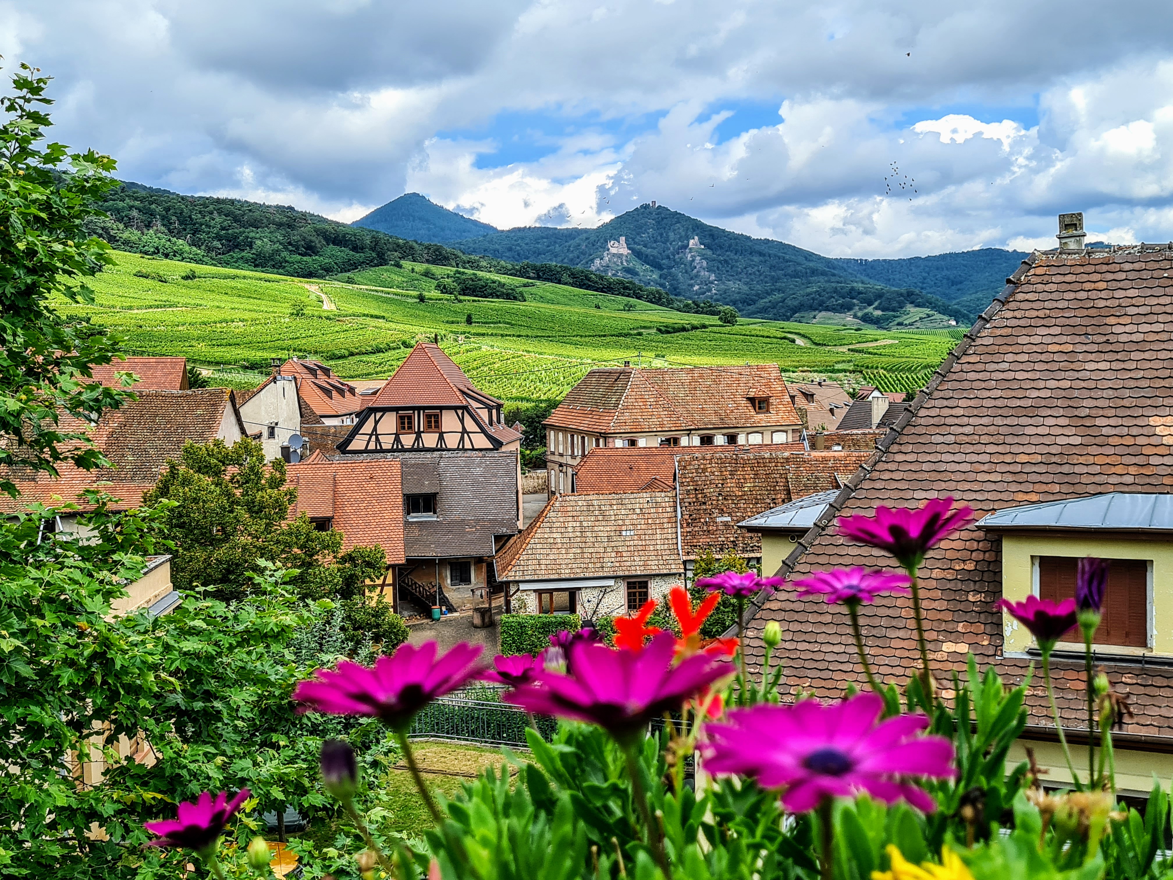Vignoble Alsacien Vignoble Alsacien