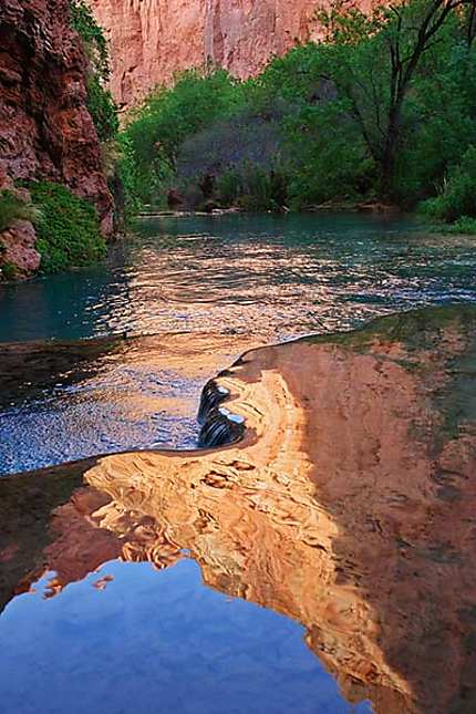 Réflexion dans le canyon d'Havasupai