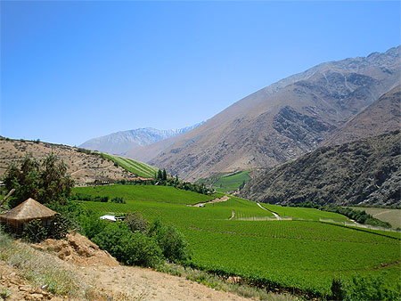 Valle de Elqui Valle de Elqui