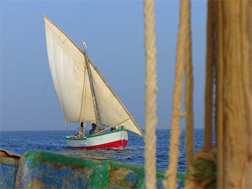 Croisement de Lanches