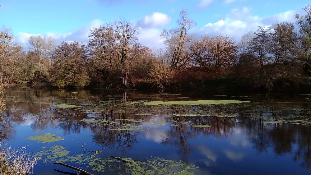 Balade au canal du berry