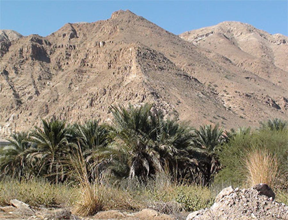 Wadi Tiwi