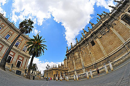Devant la Cathédrale de Séville