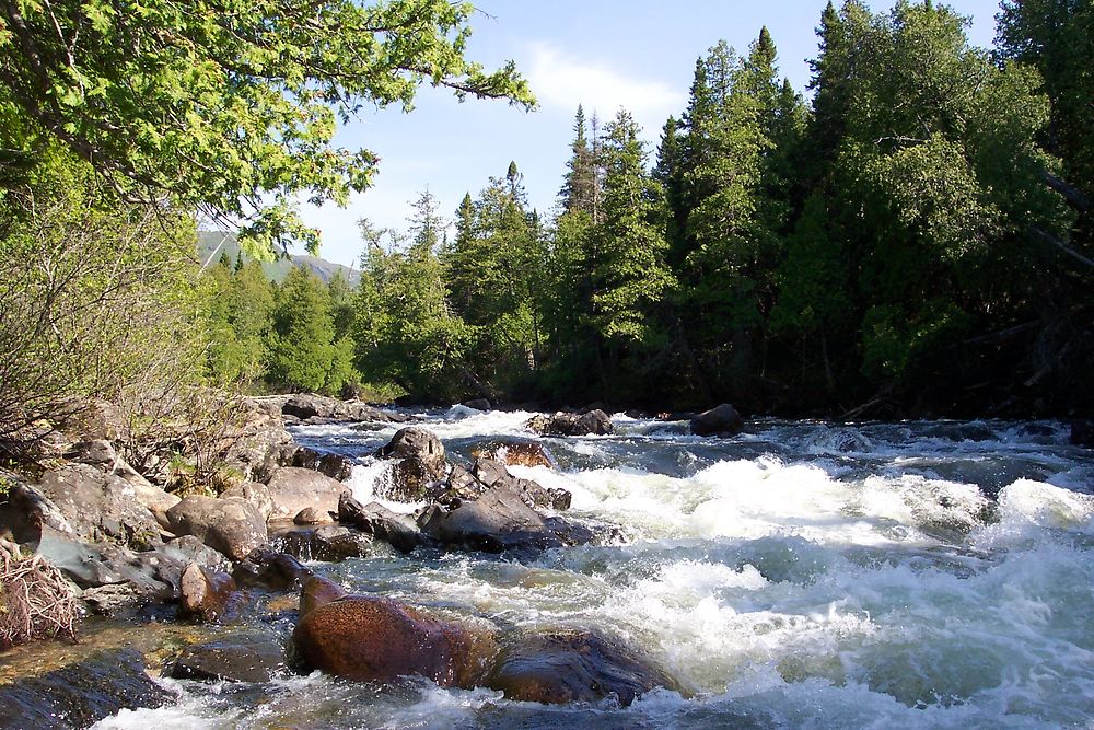 Rivière St-Anne au printemps...