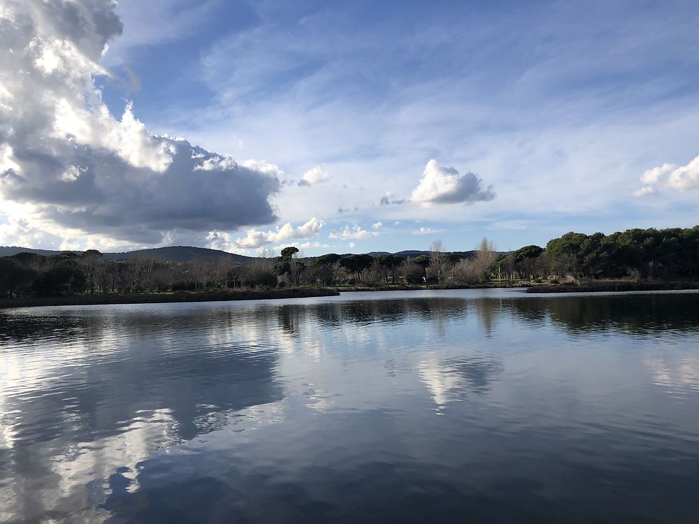 Fin de journée sur les étangs de Villepey