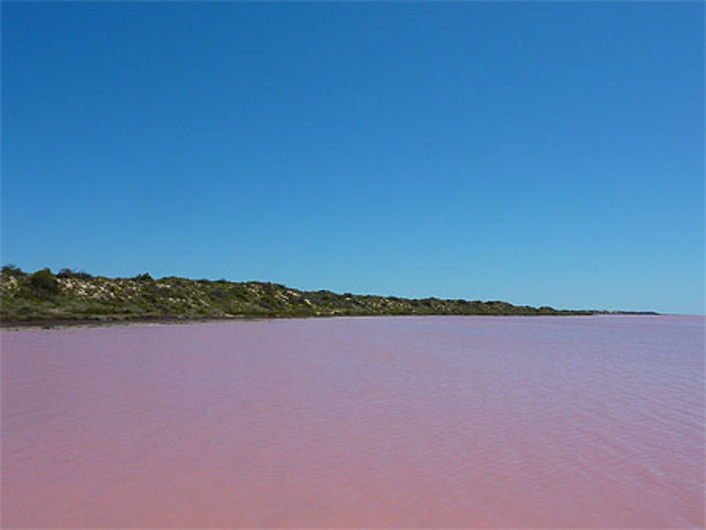 Pink Lake