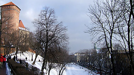Cracovie et le chateau Wawel