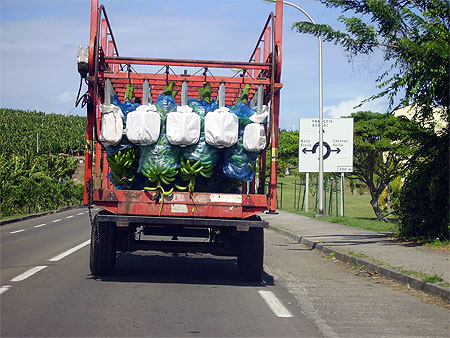 Camion transportant des bananes Camion transportant des bananes
