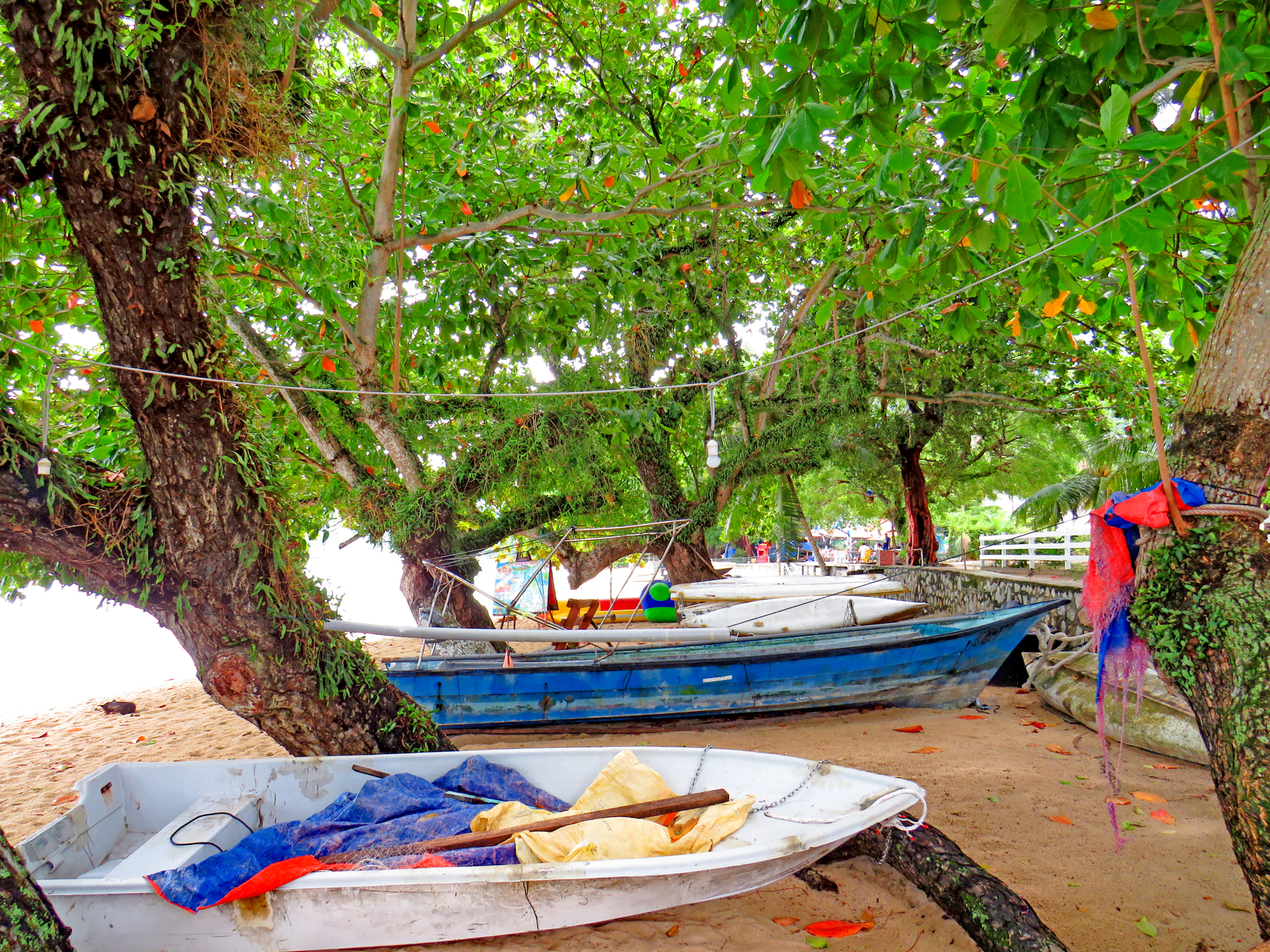 Pasir Bogak