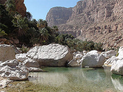 Les eaux turquoises du Wadi Tiwi