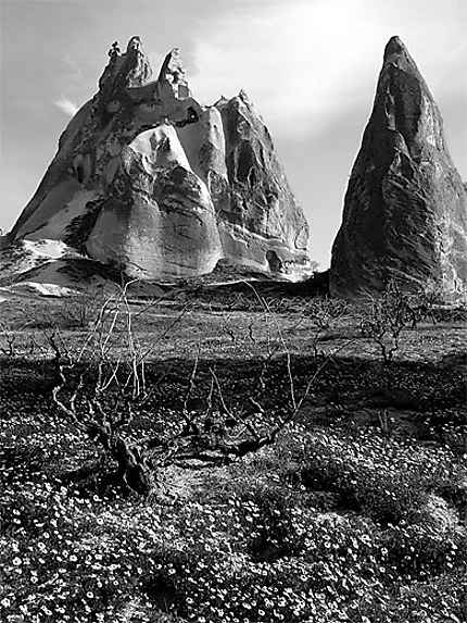 Cappadoce en noir et blanc
