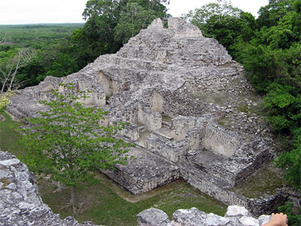 Becan, dans la végétation dense