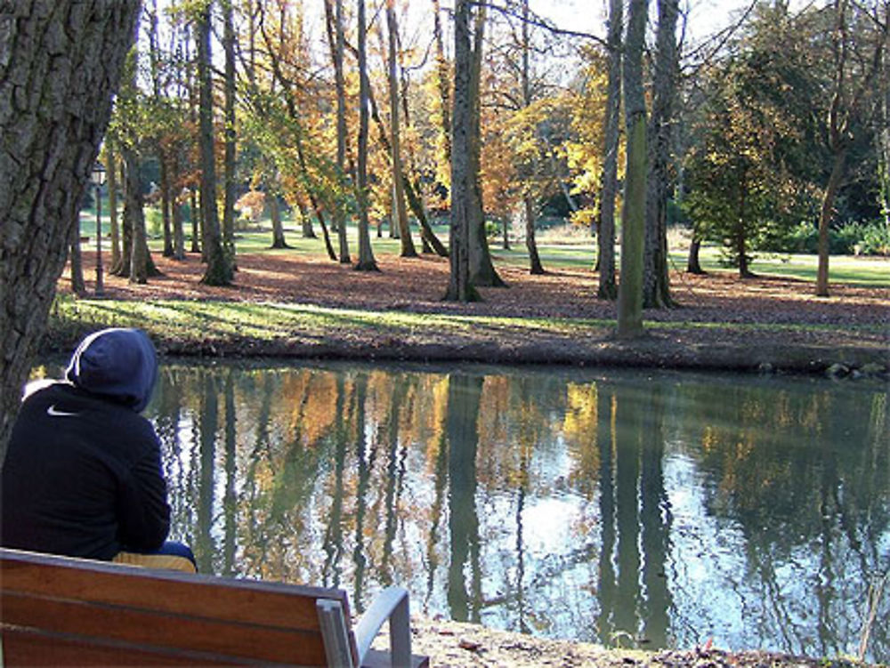 Automne à Joué les Tours