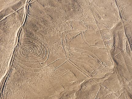 Nazca and Palpa