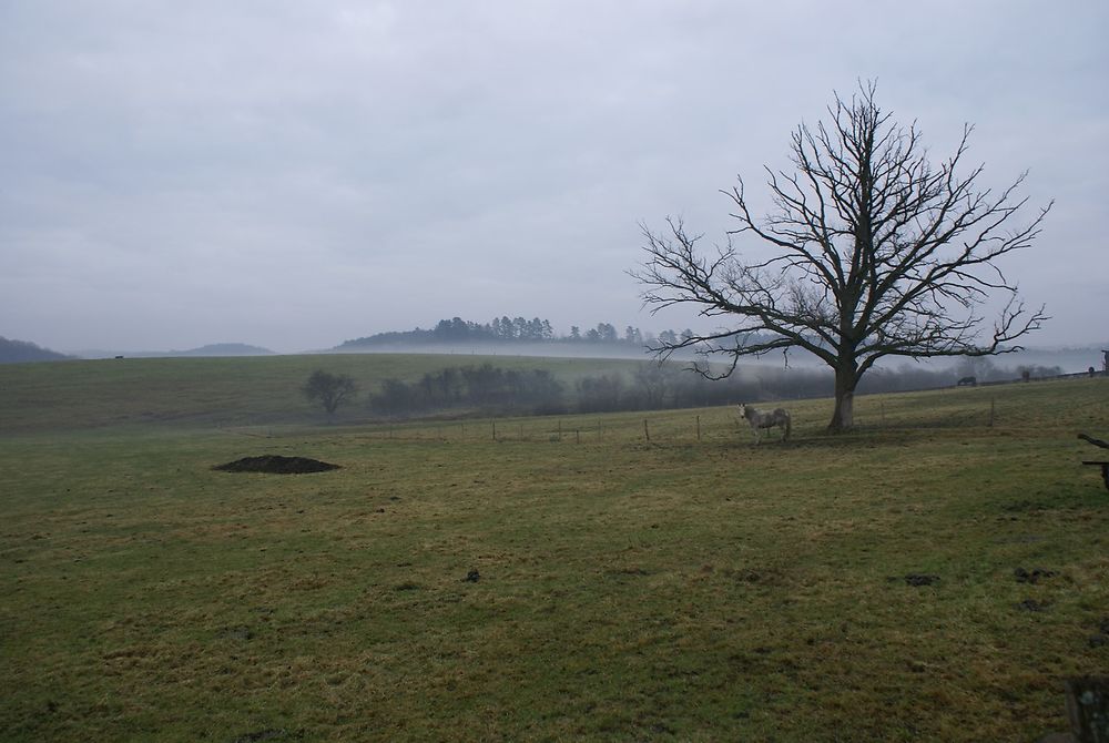 Près des Macrales